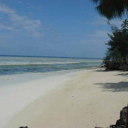 Zanzibar_Beach-16